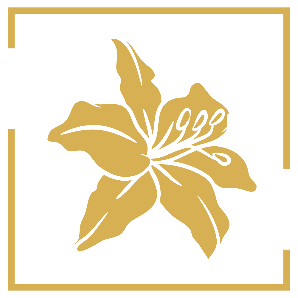 A.C. Lelis – Autorin